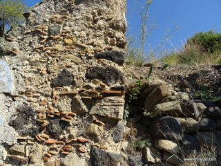 stello Calatabiano-13-10-2019 11